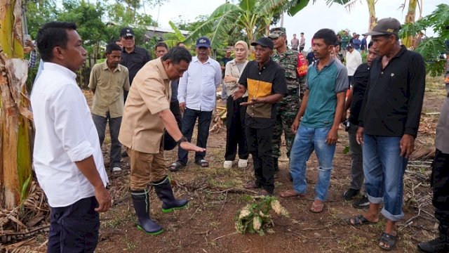 Tanam Beragam Jenis Hortikultura, Pj Gubernur Bahtiar Kunjungi Desa Damai di Sidrap