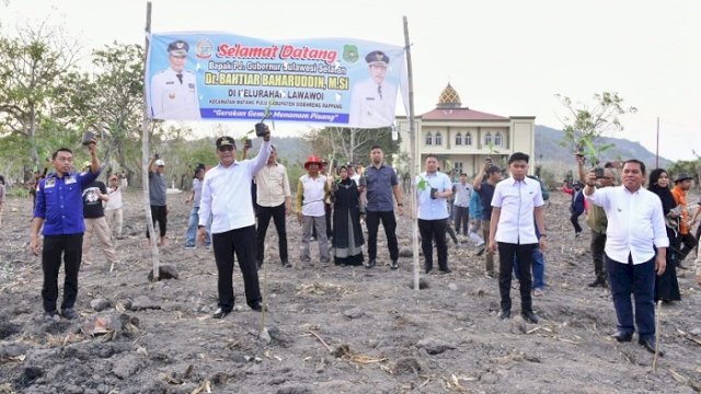 Pemkab Sidrap Siapkan 1.500 Hektar Lahan untuk Budidaya Pisang