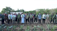 Pesantren As’diayah Siapkan Lahan 100 Hektare untuk Pertanian dan Peternakan, Dukung Ketahanan Pangan Sulsel