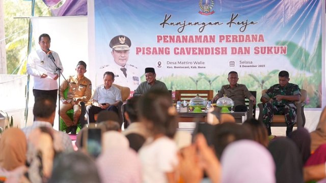 Pj Gubernur Ajak Petani di Bone Tingkatkan Kesejahteraan dengan Budidaya Pisang