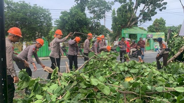 Tim SAR Brimob Bone Gerak Cepat Evakuasi Pohon Tumbang di Jalan Poros Bajoe