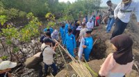 Lestarikan Pesisir di Hari Nusantara, DKP Sulsel Tanam 78 Ribu Mangrove di Bone