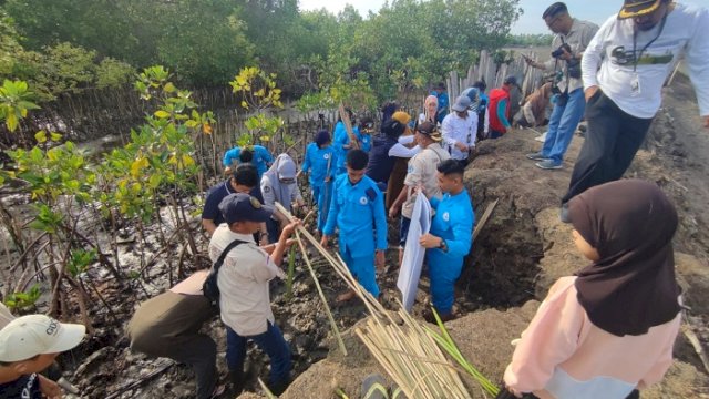 Lestarikan Pesisir di Hari Nusantara, DKP Sulsel Tanam 78 Ribu Mangrove di Bone