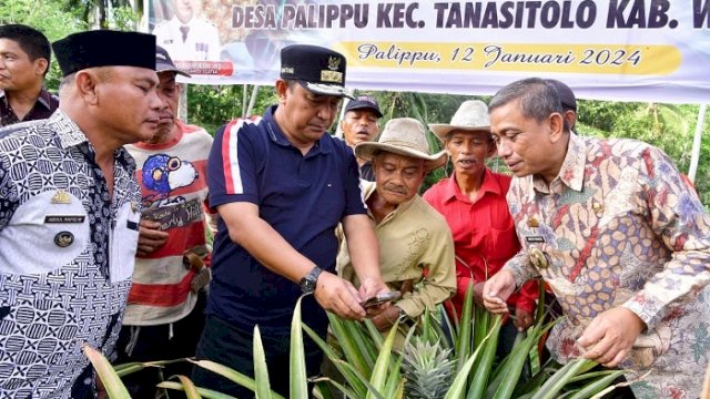 Ribuan Hektar Lahan Nganggur di Desa Mabbiring, Pemprov Sulsel Beri Bantuan Bibit Nangka dan Nanas