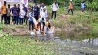 20 Ribu Bibit Ikan Nila Kembali Ditebar di Bone
