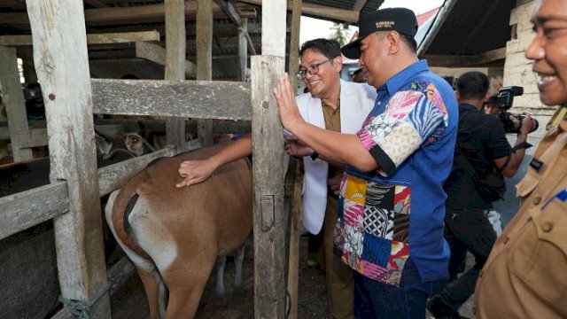 Pemprov Sulsel Dorong Inseminasi Buatan, Limbah Cavendish Jadi Alternatif Pakan Ternak