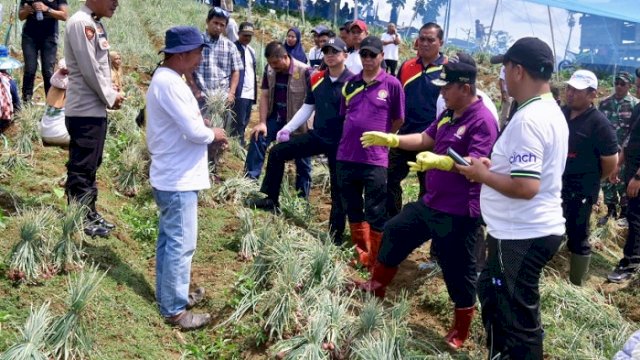 Petani Bawang di Enrekang Bertemu Pj Gubernur, Ada Ajari Cara Panen dan Kisahkan Biaya Kuliah Anak
