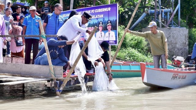 1 Juta 10 Ribu Benih Ikan Ditebar di Danau Tempe
