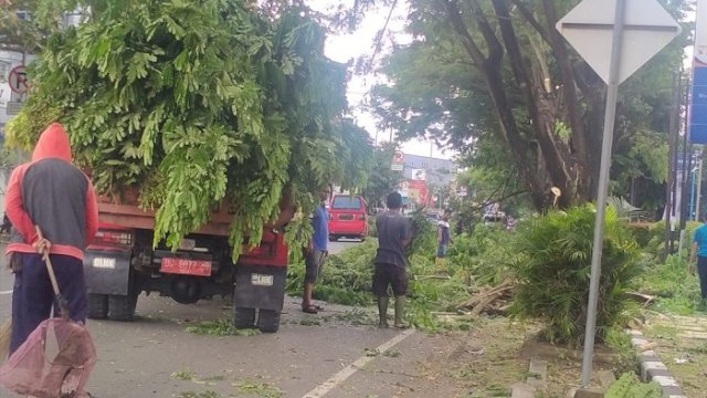 Jaga Keindahan Kota dan Keselamatan Warga, DLHK Sinjai Lakukan Pemangkasan Pohon