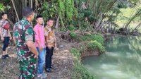Buaya Muncul di Sungai Lolisang Jadi Tontonan, Pj Bupati Sinjai Ingatkan Warga Berhati-hati