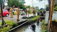 Curah Hujan Masih Tinggi, Pj Bupati Sinjai Turunkan Satgas Bersihkan Drainase