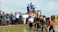 Tanam dan Panen Padi di Gowa, Mentan Tegaskan Modernisasi Kunci Peningkatan Produksi