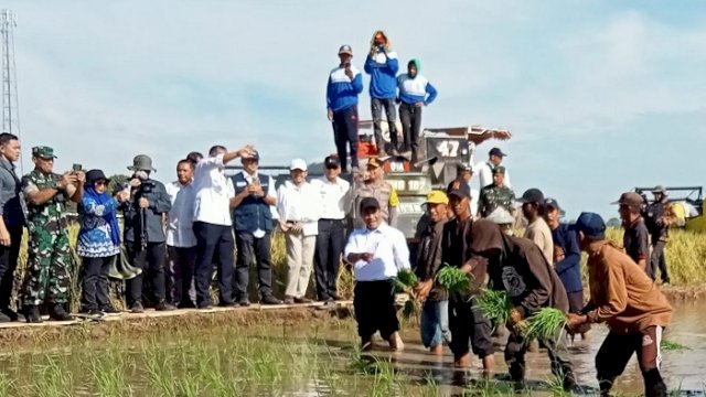 Menteri Pertanian Andi Amran Sulaiman melakukan panen sekaligus menanam padi di Dusun Sailong, Desa Sunggumanai, Kecamatan Patalassang, Kabupaten Gowa, Jumat (11/2/2024).