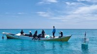 Besok, Jambore untuk Kelompok Masyarakat Penjaga Laut Digelar di Pulau Lanjukang Makassar