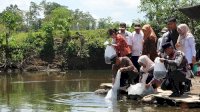 Pemprov Sulsel Telah Salurkan 5 Juta Bibit Bantuan Benih Perikanan