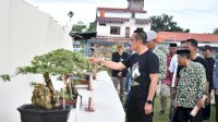 Pameran Bonsai Tingkat Nasional Jadi Ajang Adu Kreativitas dan Promosi Wisata Sinjai