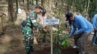 Gandeng Pemkab Gowa, Telkom Regional V Tanam 5.000 Bibit Pohon di Hutan Lindung Bissoloro