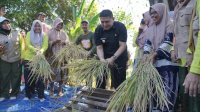 Walikota Buka Musyawarah Tani di Sudiang, Dorong Keterlibatan Pemuda Integrasikan Teknologi Sektor Pertanian