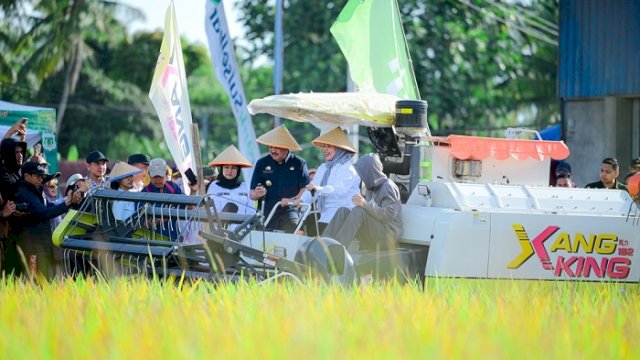 Panen Raya di Pinrang Capai 6,8 Ton per Hektare, Perkuat Peran Sulsel sebagai Lumbung Pangan