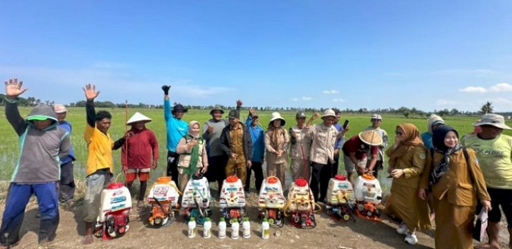 Kementan Gaspol Tangani Hama Padi di Pinrang, 5.000 Hektare Diselamatkan