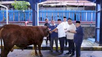 Himpun 93 Hewan Kurban, Menaker: Iduladha Momentum Perkuat Kepedulian dan Kinerja