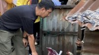 Camat Panakkukang Tinjau Langsung dan Salurkan Bantuan untuk Lansia di Sudut Permukiman