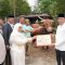 Sapi Kurban Bantuan dari Presiden untuk Sinjai Berbobot Fantastis, Beratnya 1 Ton Lebih